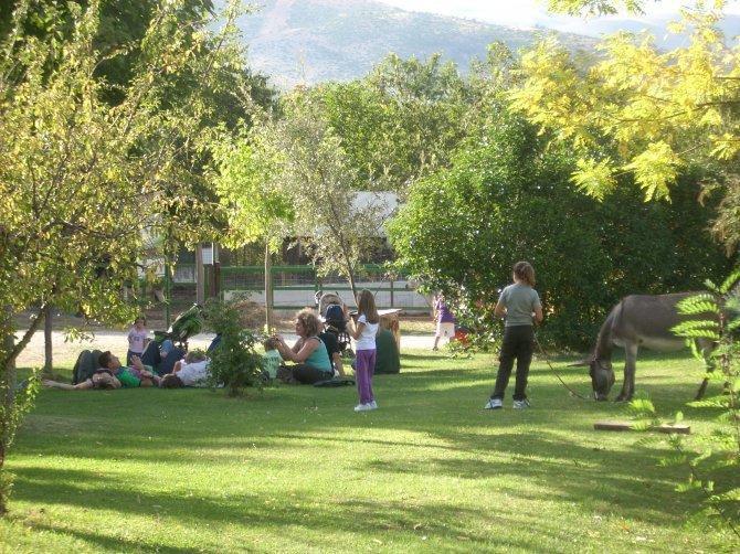 הוילה סולמונה Locanda Dell'Asino D'Oro מראה חיצוני תמונה