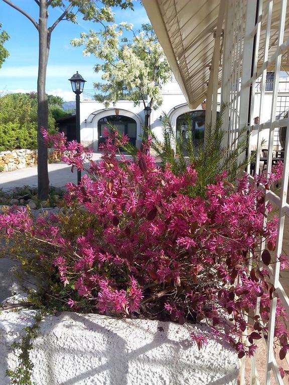 הוילה סולמונה Locanda Dell'Asino D'Oro מראה חיצוני תמונה