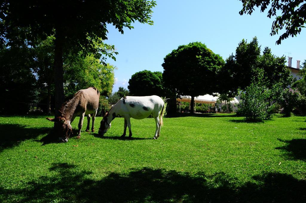 הוילה סולמונה Locanda Dell'Asino D'Oro מראה חיצוני תמונה