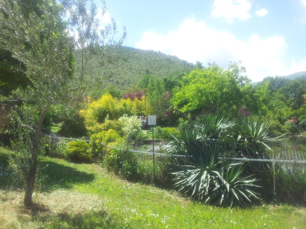 הוילה סולמונה Locanda Dell'Asino D'Oro מראה חיצוני תמונה